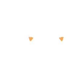 Brasserie du Pays Toy